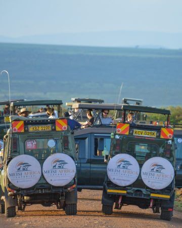 Luxury Safaris